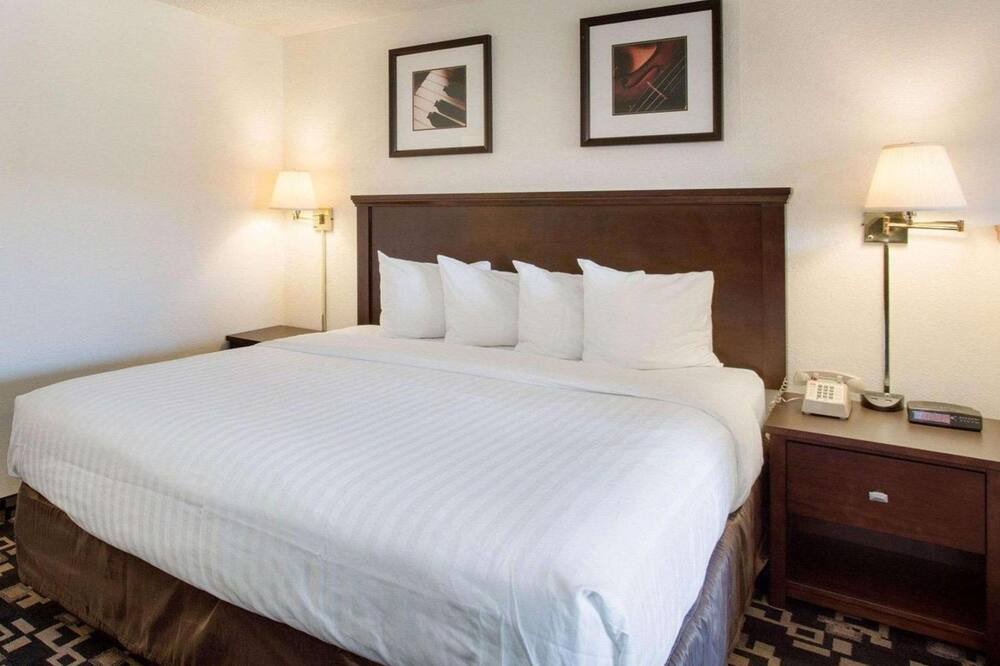 Photo of Others in Cornwall Park