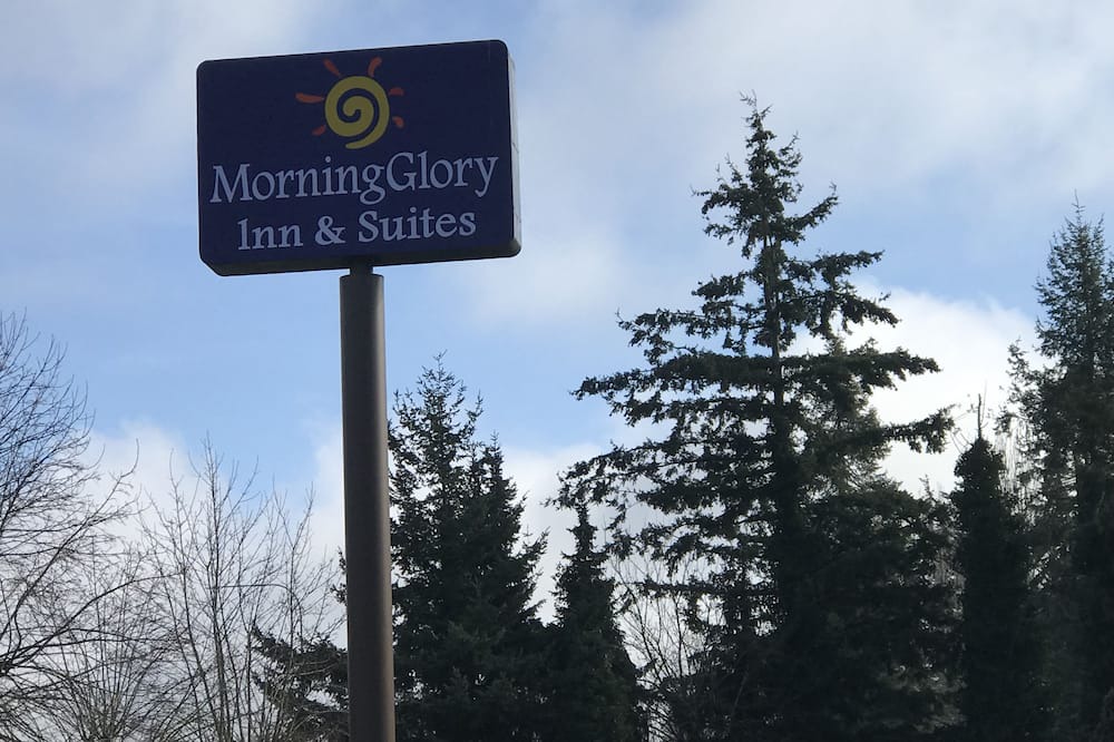 Photo of Outdoor in Cornwall Park