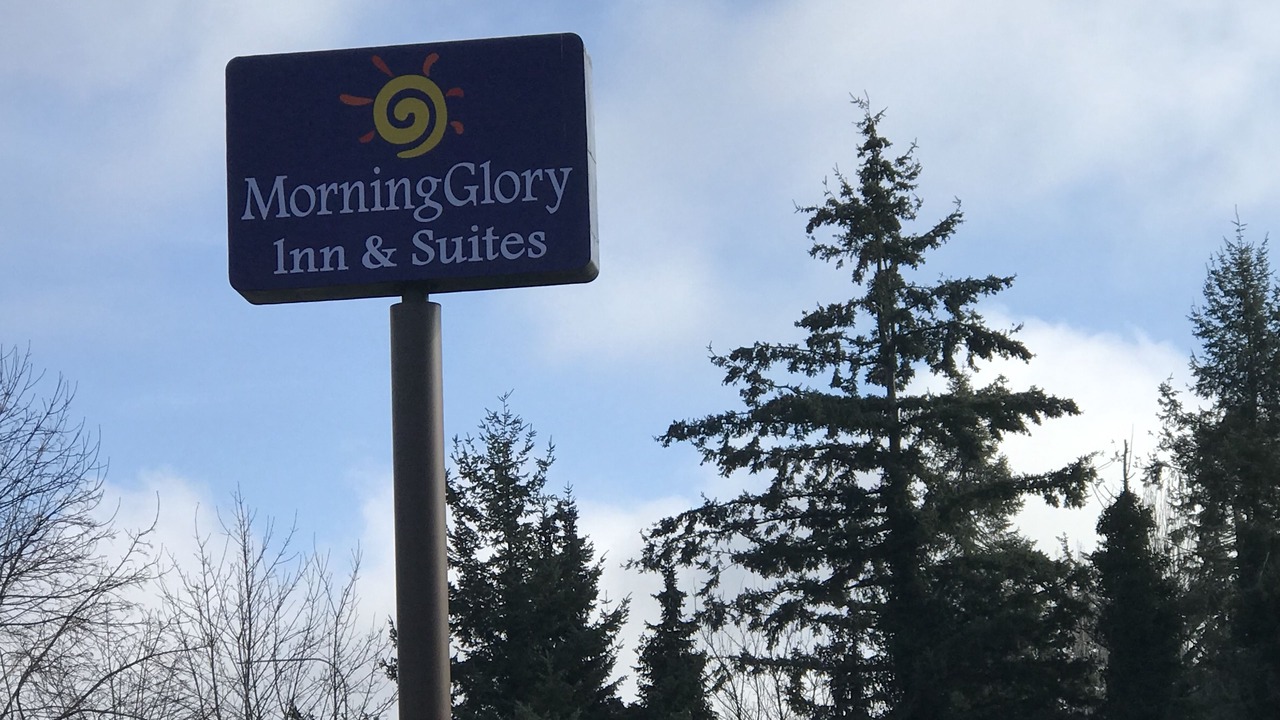 Photo of Outdoor in Cornwall Park