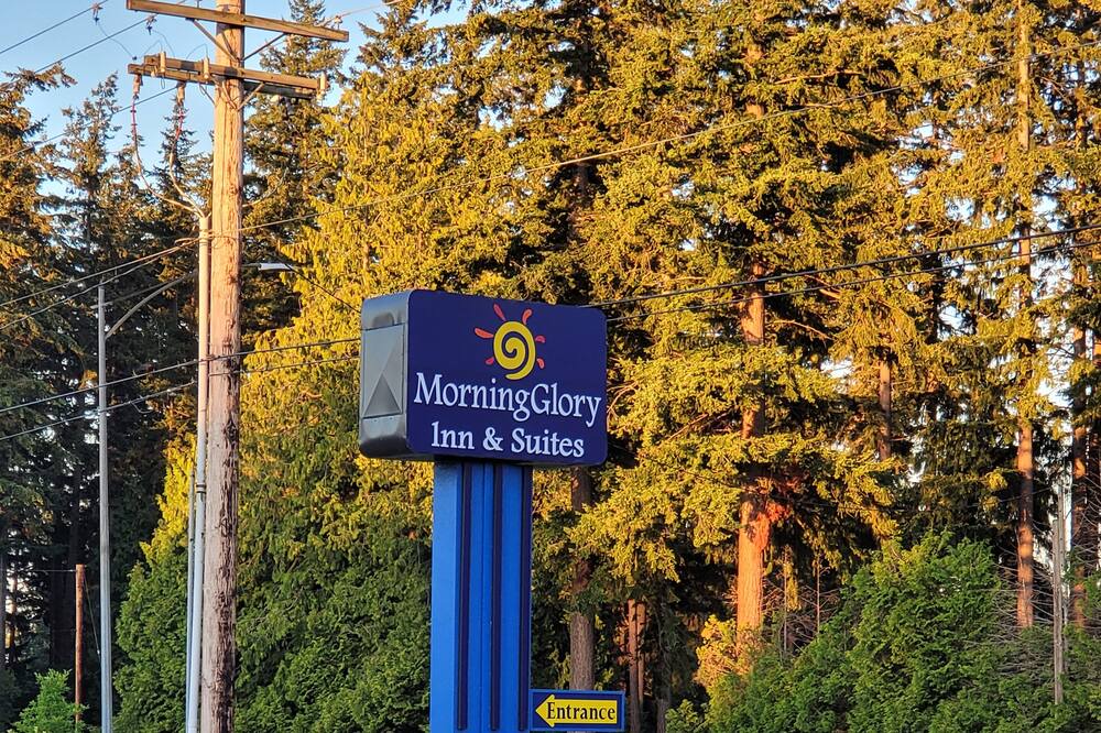 Photo of Outdoor in Cornwall Park