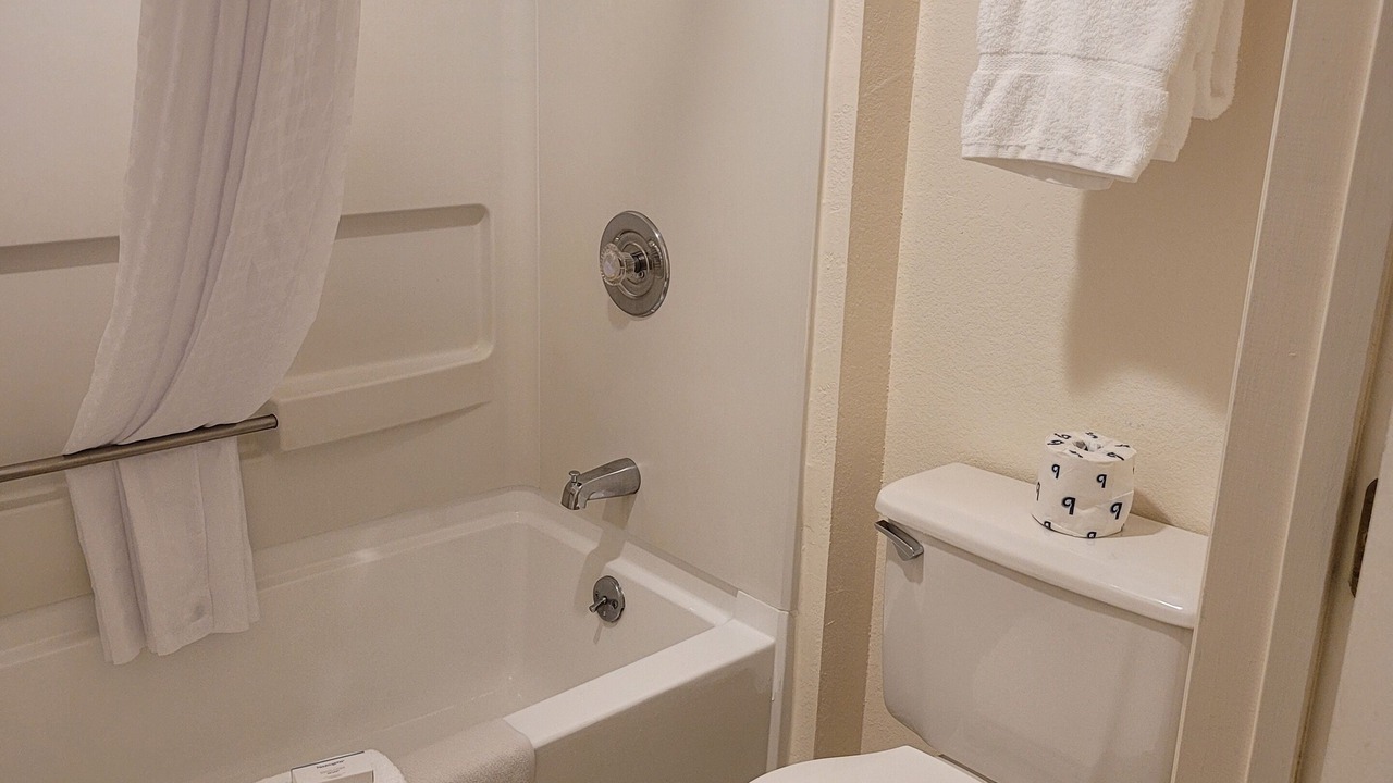 Photo of Others in Cornwall Park