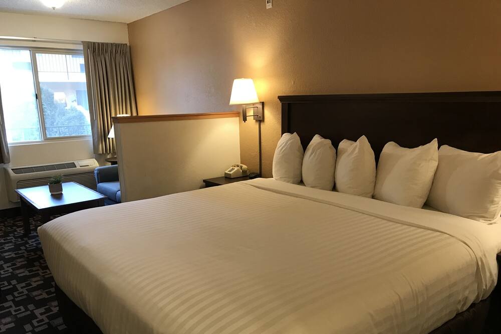 Photo of Others in Cornwall Park