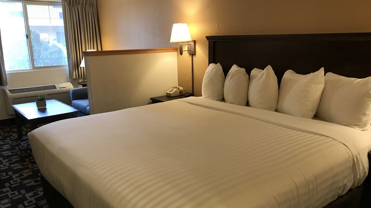 Photo of Others in Cornwall Park