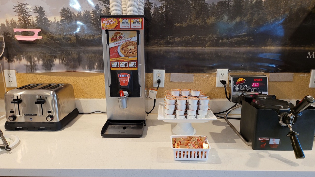 Photo of Others in Cornwall Park