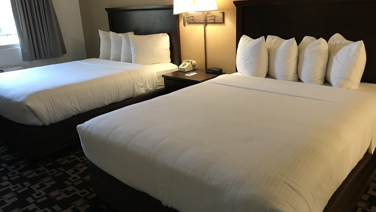 Photo of Others in Cornwall Park