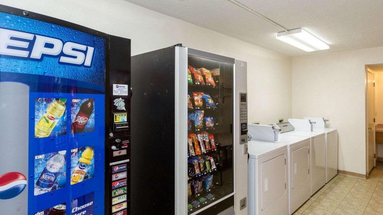 Photo of Others in Cornwall Park