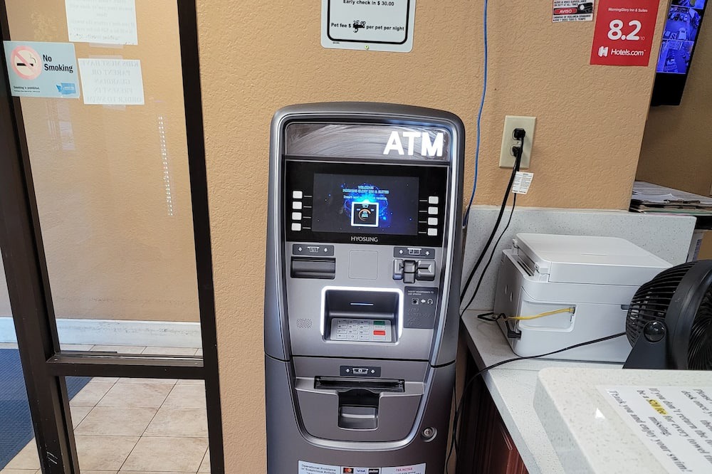 Photo of Others in Cornwall Park