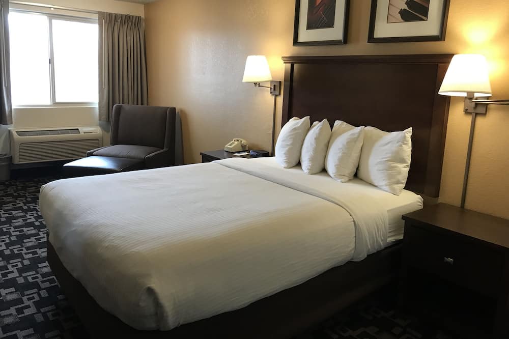 Photo of Others in Cornwall Park