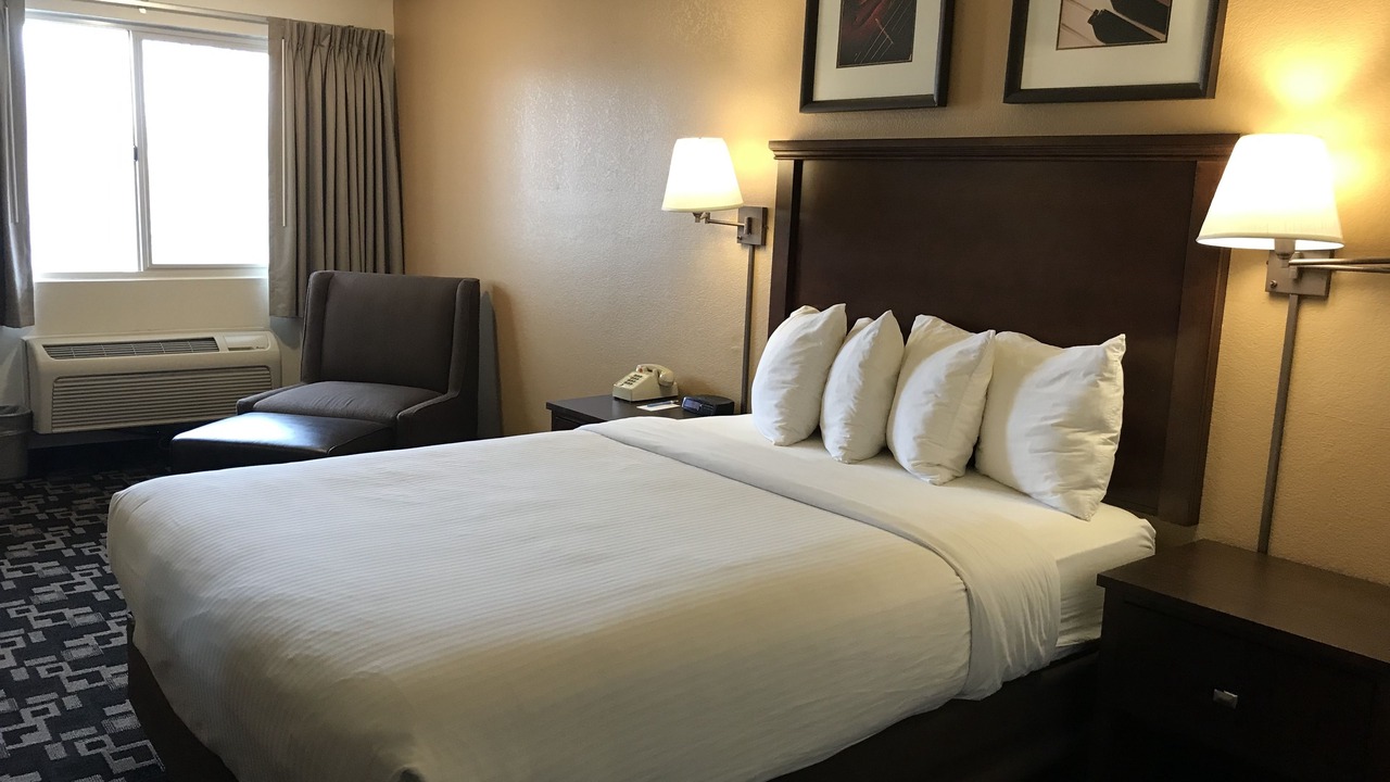 Photo of Others in Cornwall Park