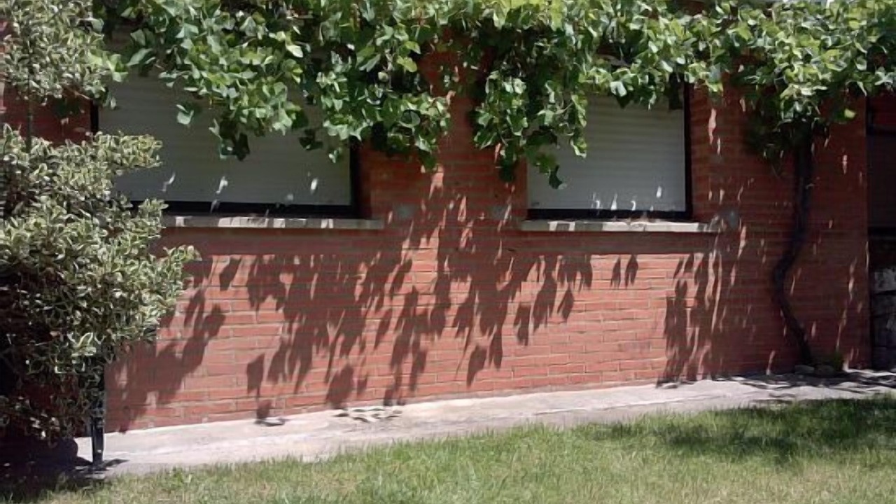 Photo of Outdoor in Galilea
