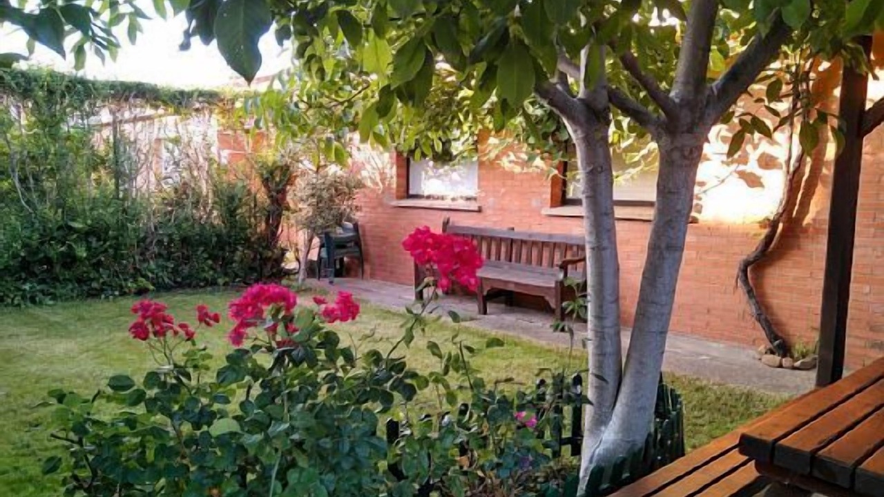 Photo of Outdoor in Galilea