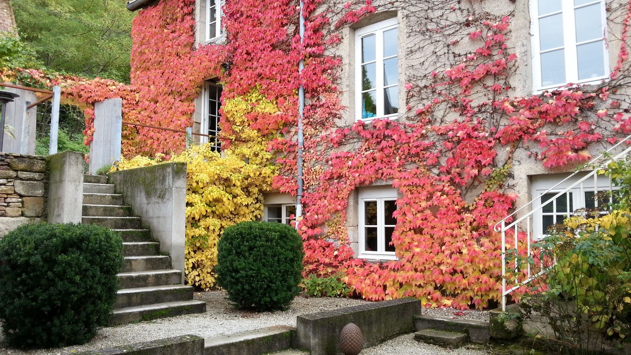 Photo of Outdoor in Autun