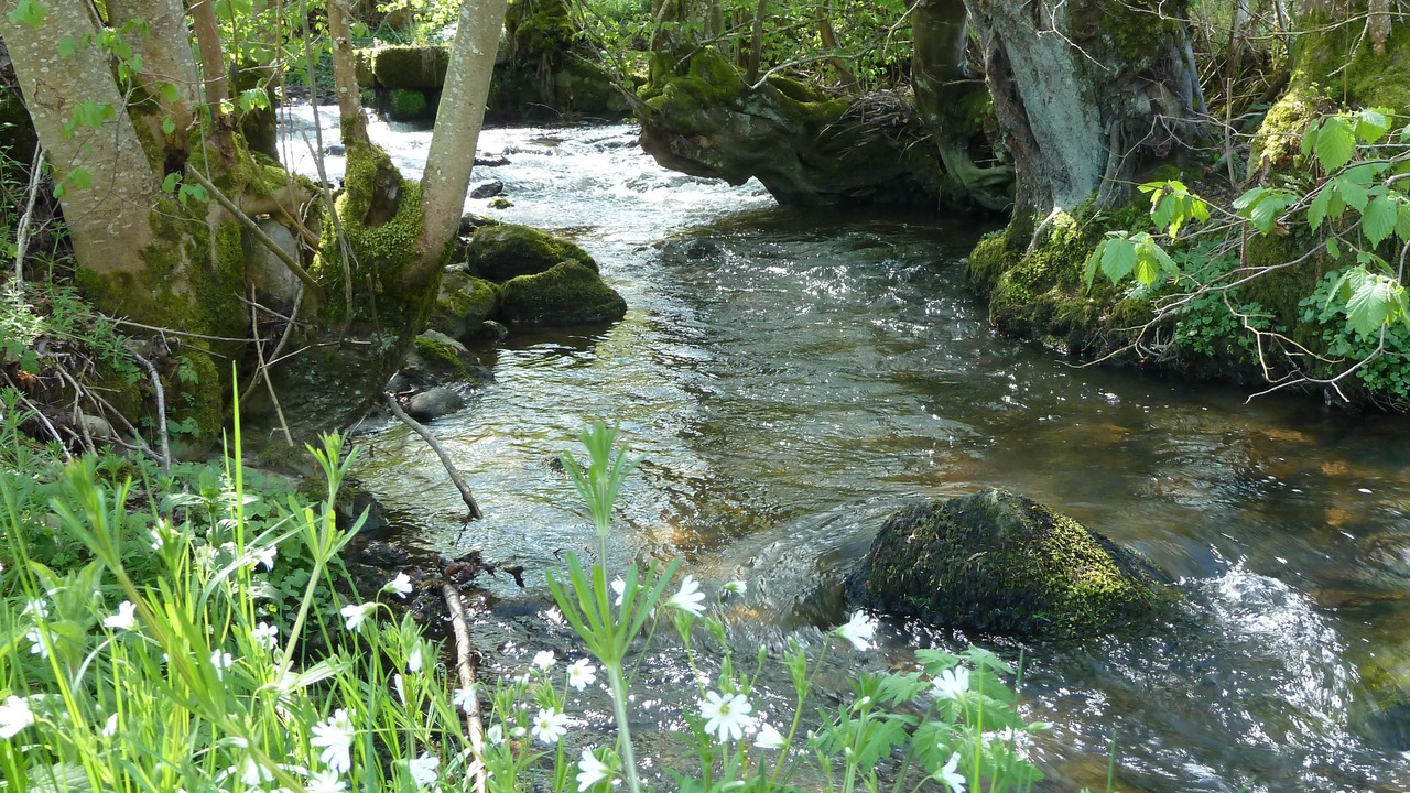 Photo of Outdoor in Autun