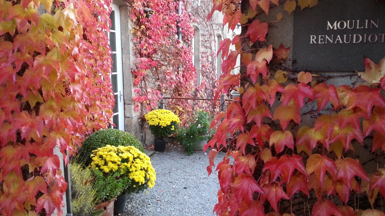 Photo of Outdoor in Autun