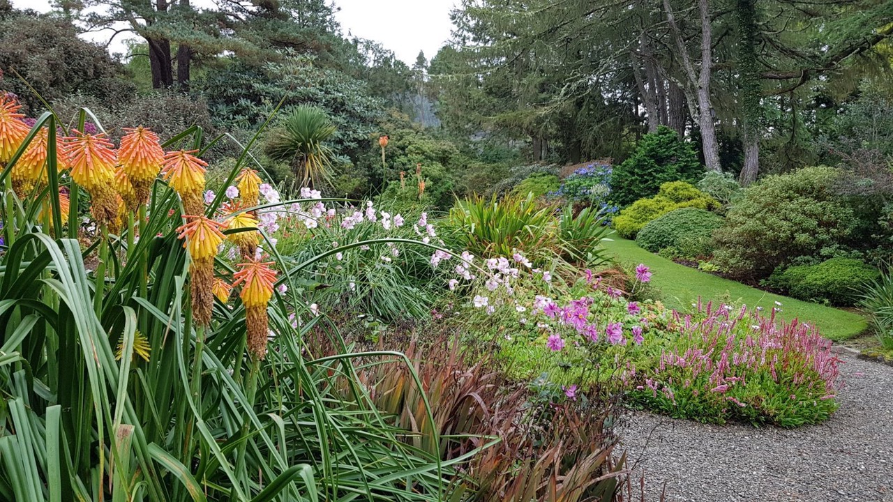 Photo of Others in Arduaine