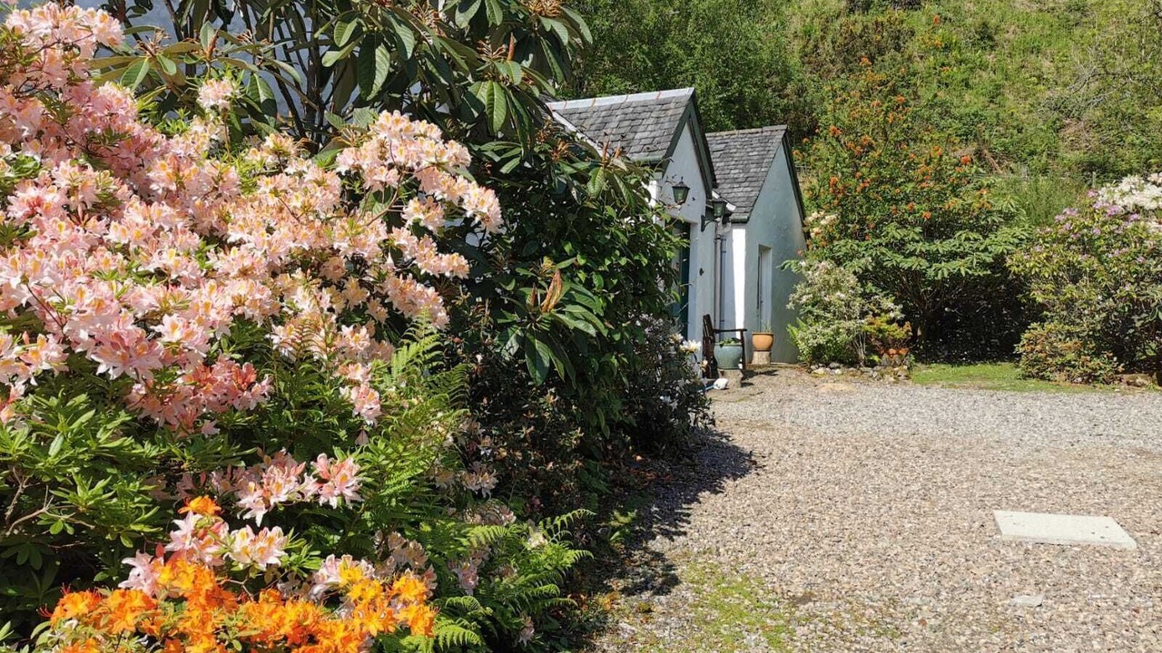 Photo of Outdoor in Arduaine