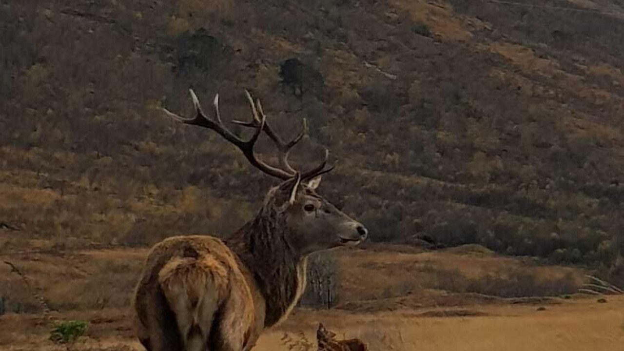 Photo of Others in Arduaine