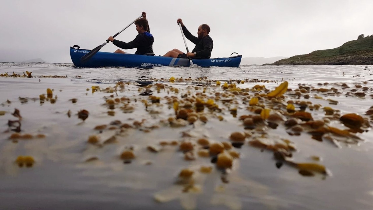 Photo of Others in Arduaine