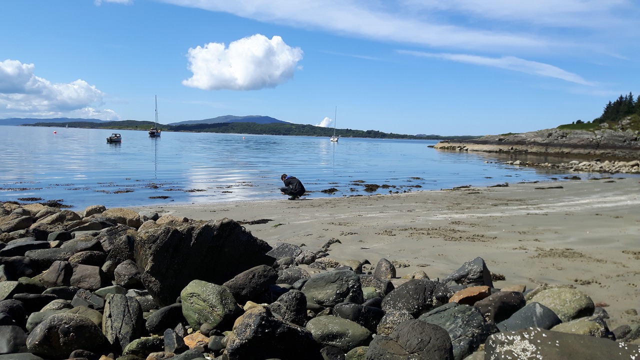 Photo of Outdoor in Arduaine