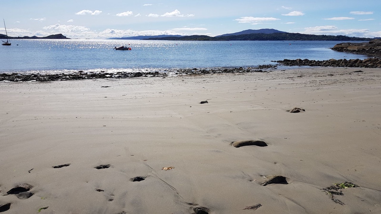 Photo of Others in Arduaine