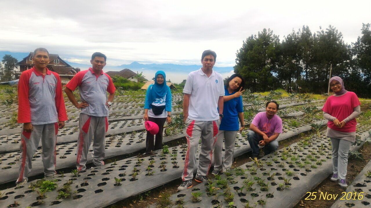 Photo of Others in Parongpong