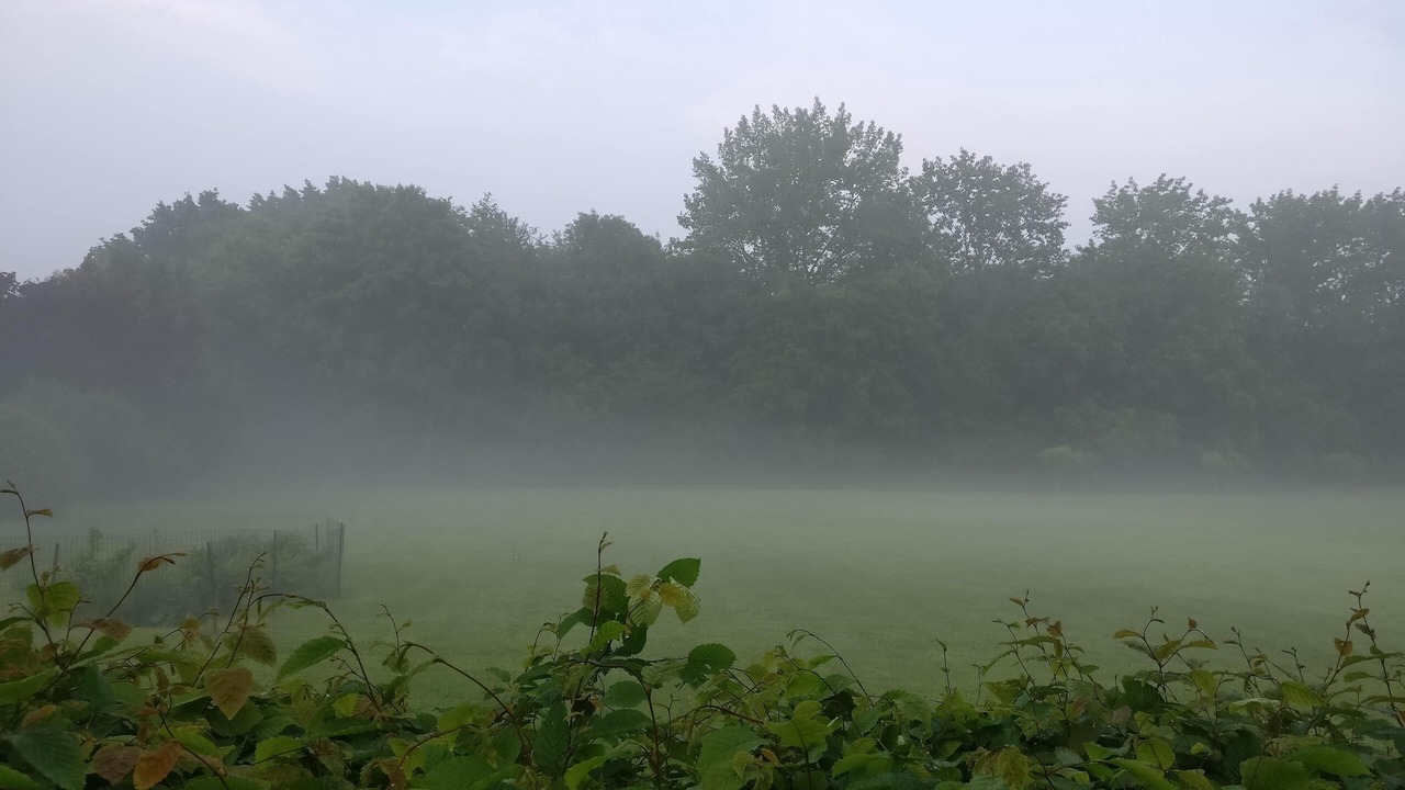 Photo of Outdoor in Recueil