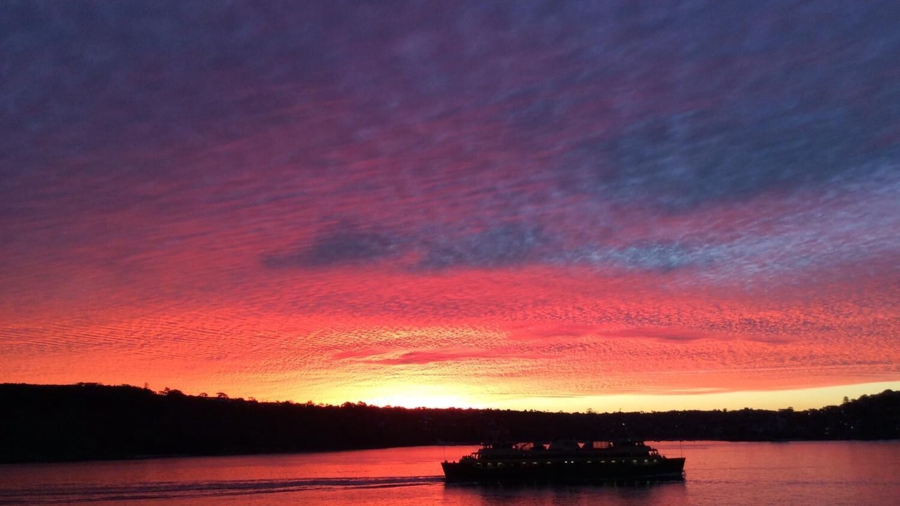 Photo of Others in Manly