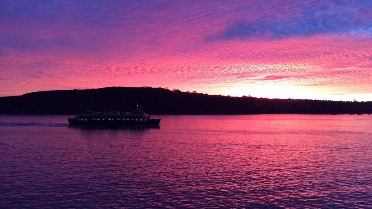 Photo of Others in Manly