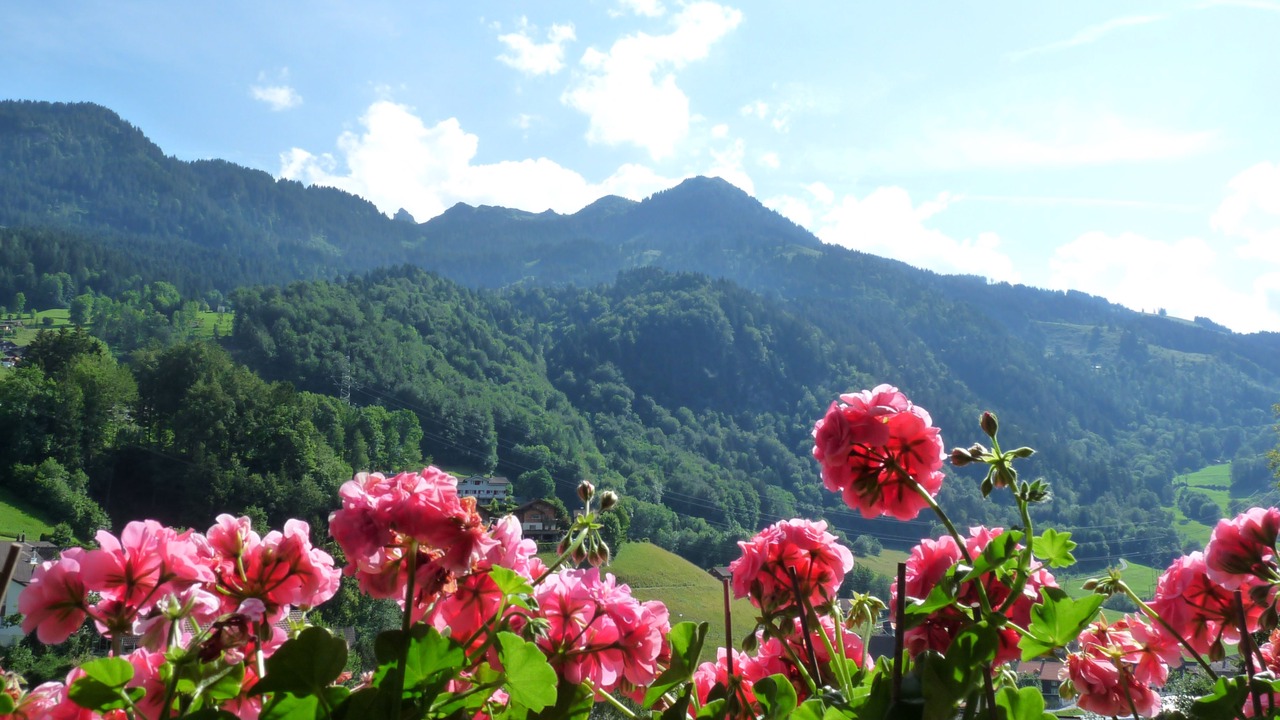Photo of Outdoor in Oberterzen
