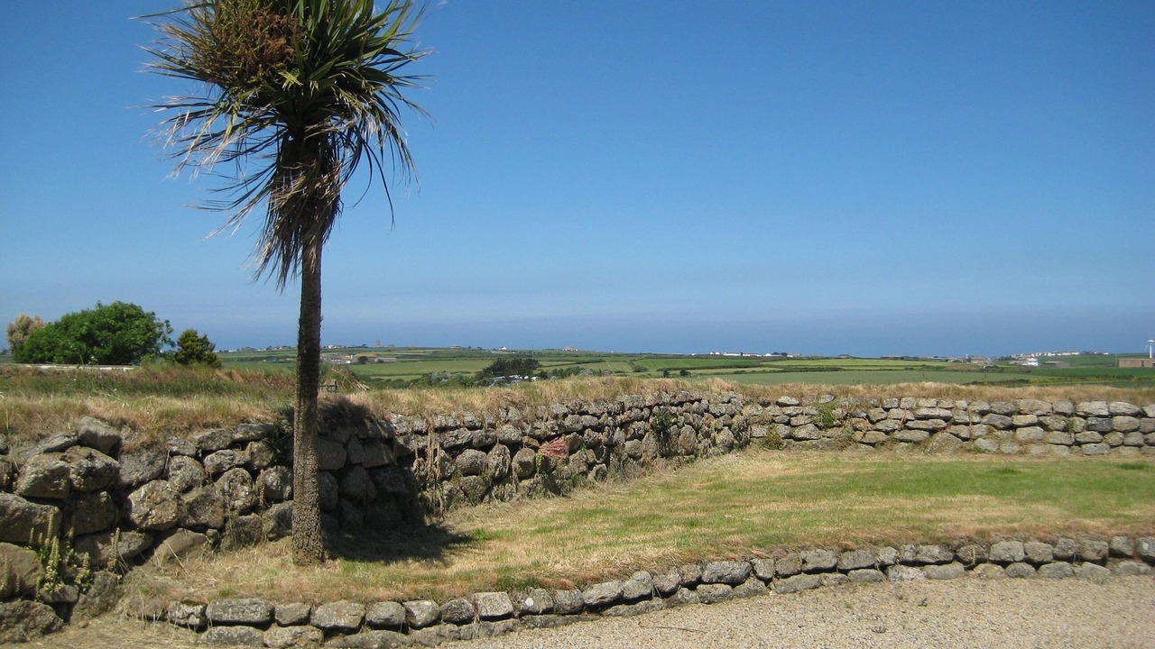 Photo of Others in Saint Martin