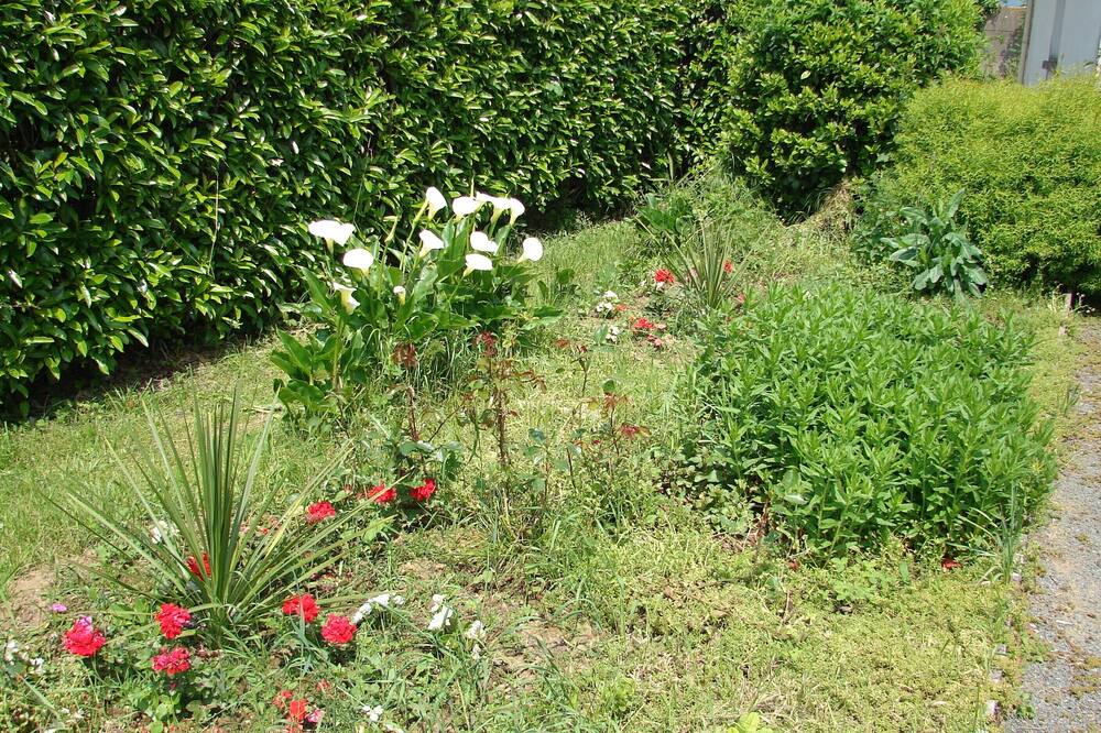 Photo of Outdoor in Le Boupere