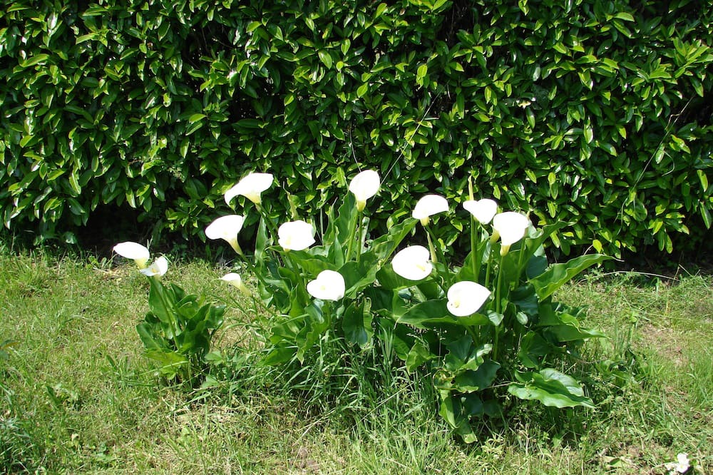 Photo of Outdoor in Le Boupere