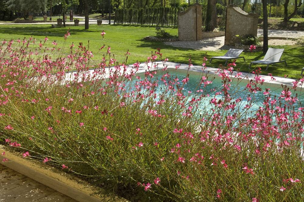 Photo of Outdoor in Pont de Molins