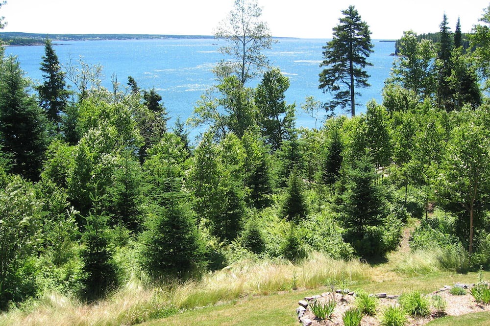 Photo of Others in New River Beach