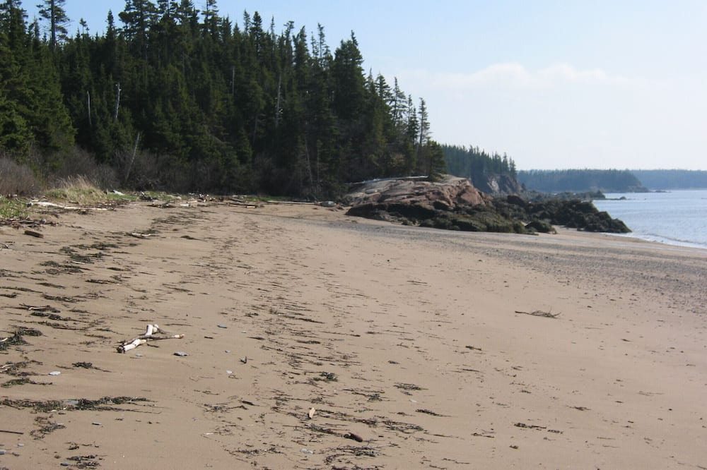 Photo of Outdoor in New River Beach