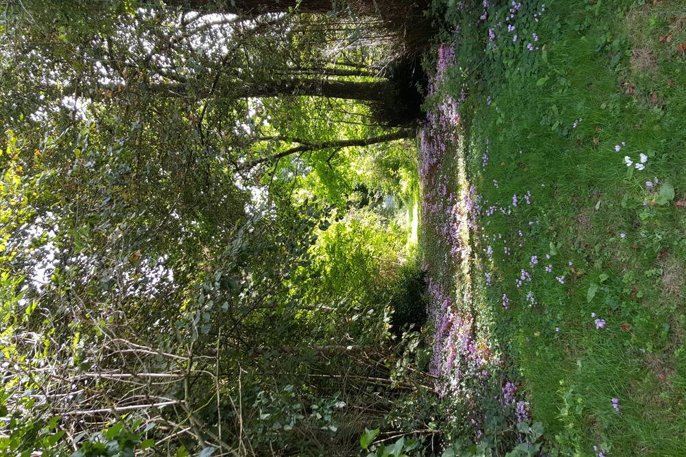 Photo of Others in Yzeures-sur-Creuse