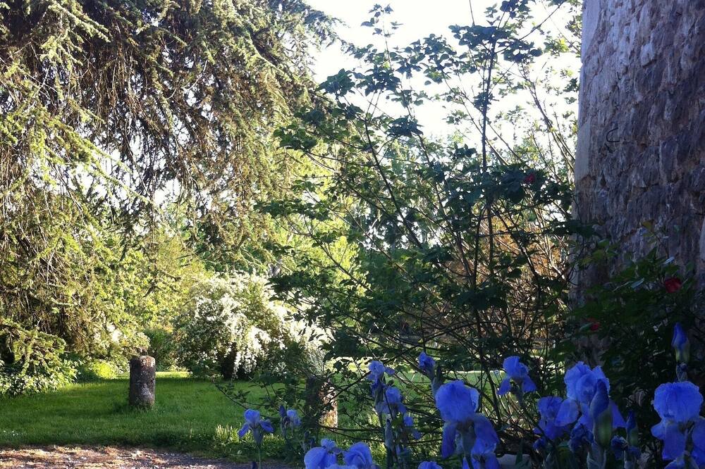 Photo of Outdoor in Yzeures-sur-Creuse