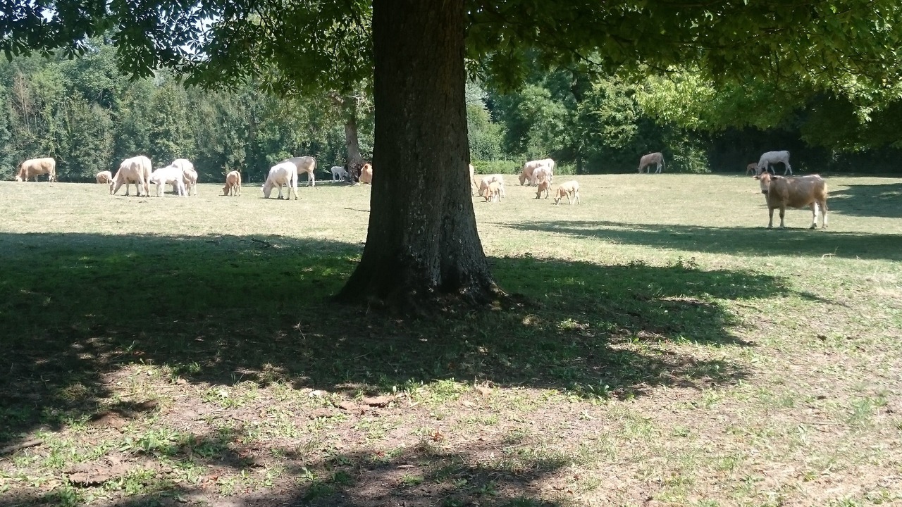 Photo of Outdoor in Vermand