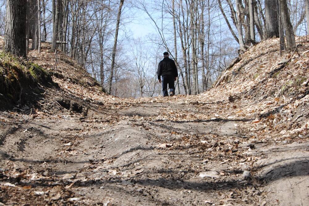 Photo of Others in Oro-Medonte