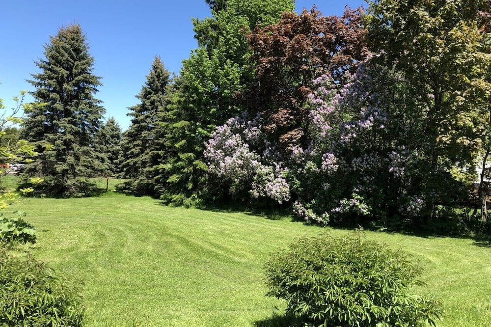 Photo of Outdoor in Oro-Medonte
