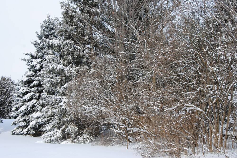 Photo of Others in Oro-Medonte
