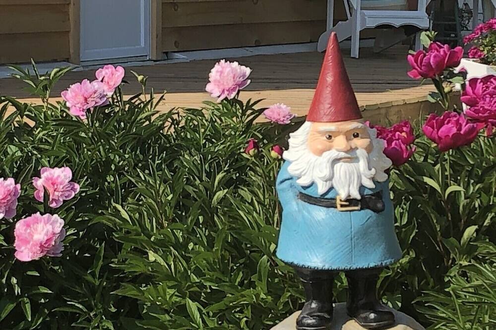 Photo of Others in Oro-Medonte