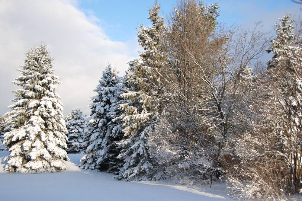 Photo of Others in Oro-Medonte