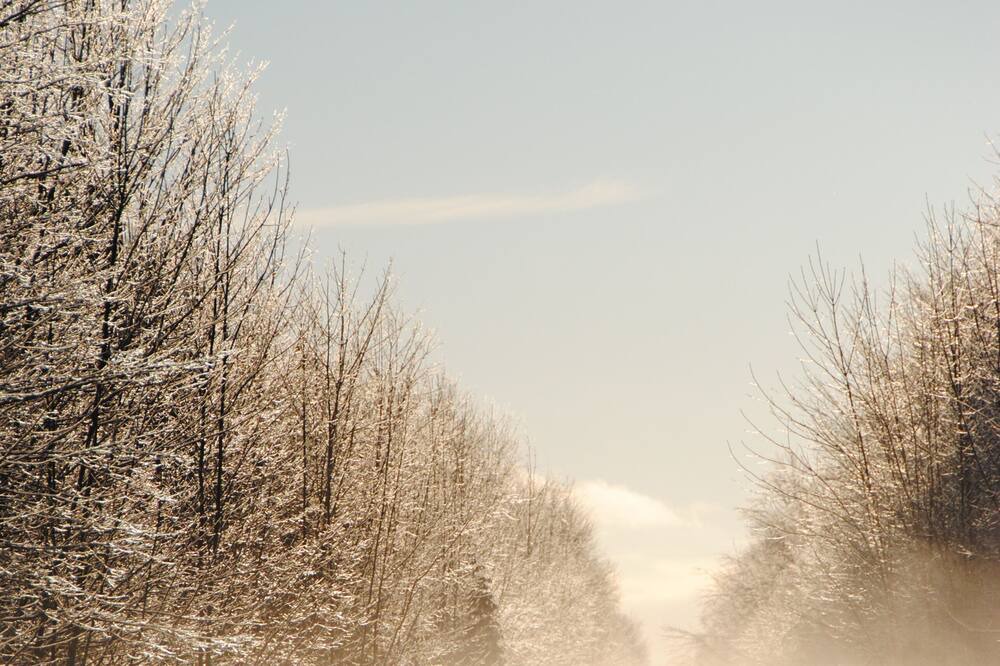 Photo of Others in Oro-Medonte