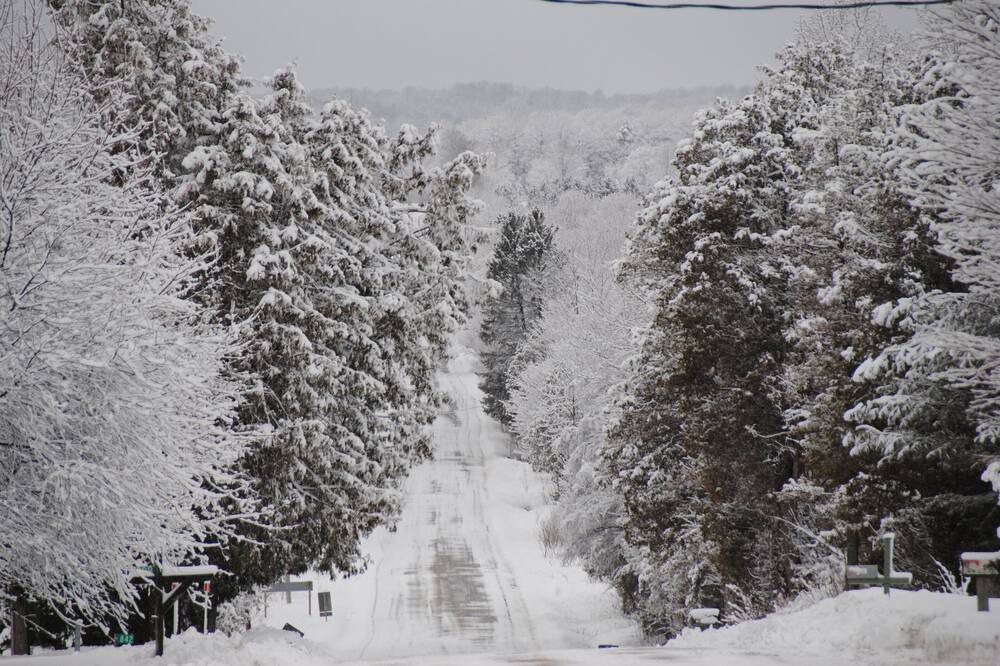Photo of Others in Oro-Medonte