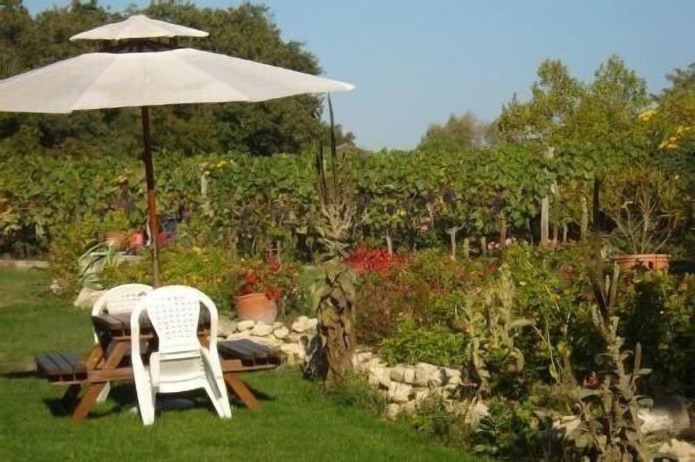 Photo of Outdoor in Castelnau-sur-l'Auvignon