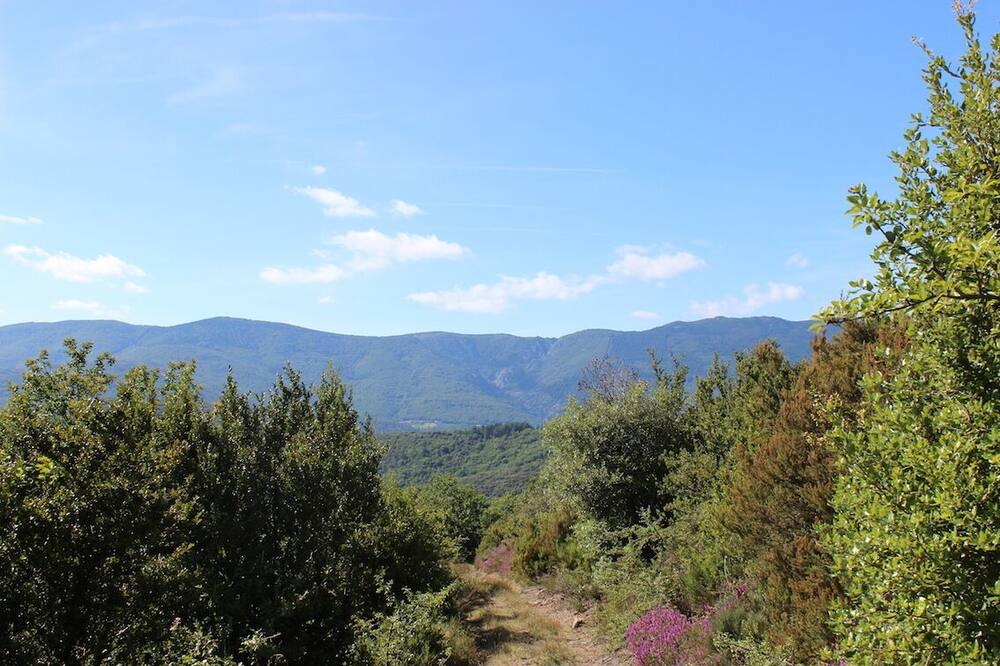 Photo of Outdoor in Riols