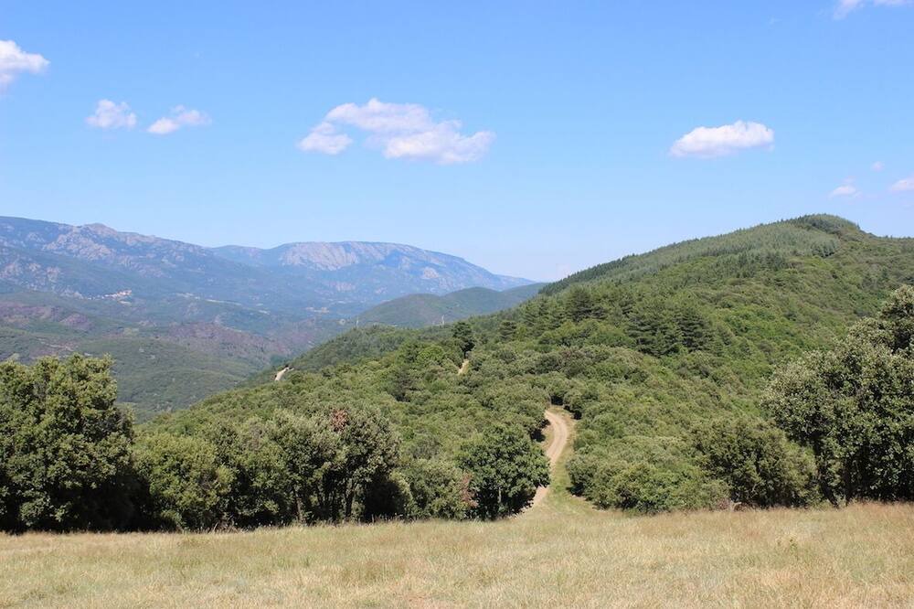 Photo of Outdoor in Riols
