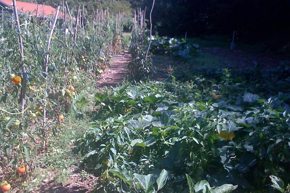 Photo of Outdoor in Riols