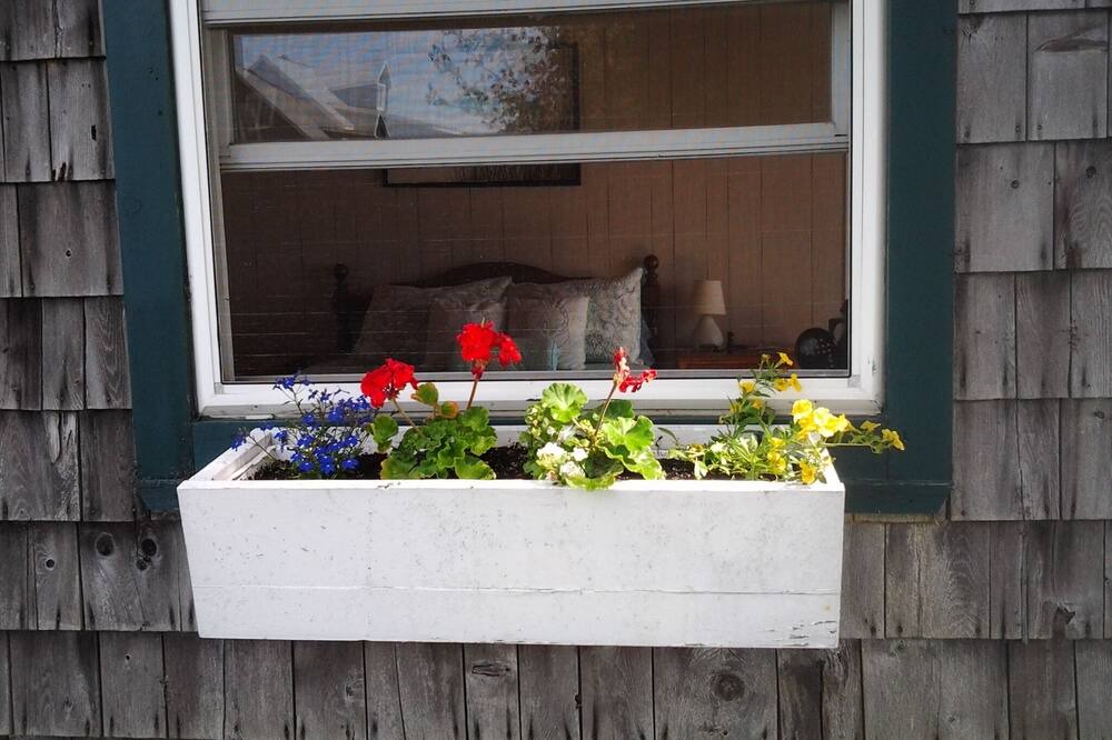 Photo of Others in Cressy